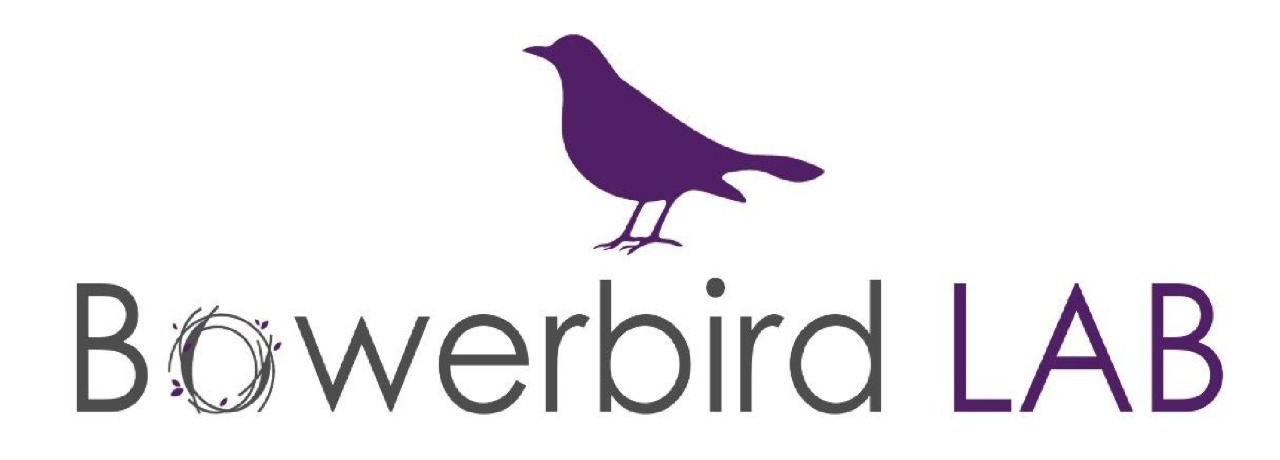 bowerbirdlab